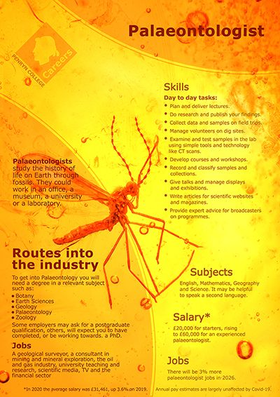 Palaeontologist job poster